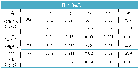 样品分析结果